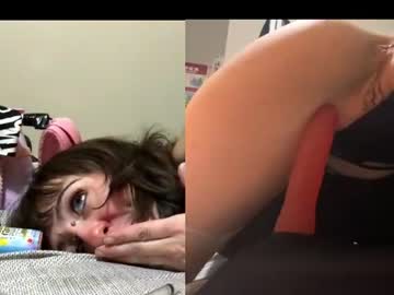 kitten kylee