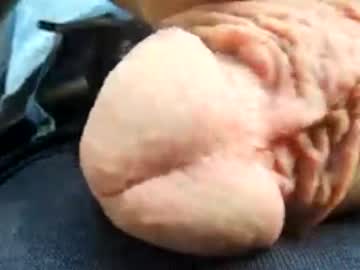 paco need taco